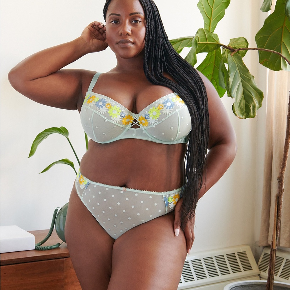 3/$25 Undies! Savage X Fenty | Free Spirit Floral Embroidered High-Leg Bikini 3X